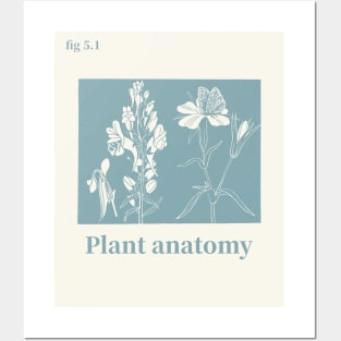 Plant Anatomy Posters and Art